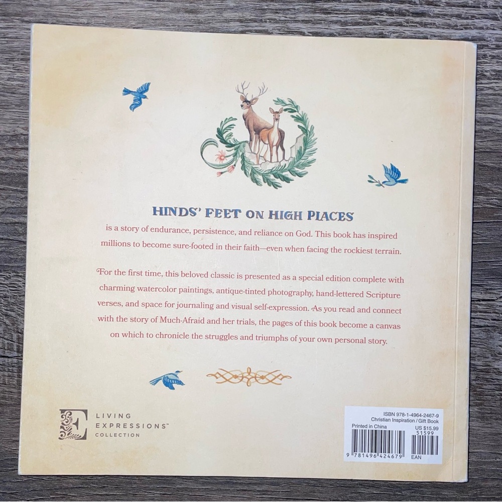 Hinds' Feet on High Places: An Engaging Visual Journey -- Hannah Hurnard NEW - Picture 3 of 11